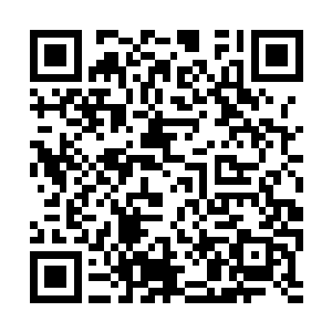 一个坐在科钦斯基身边的大汉用并不纯熟的英语道二维码生成