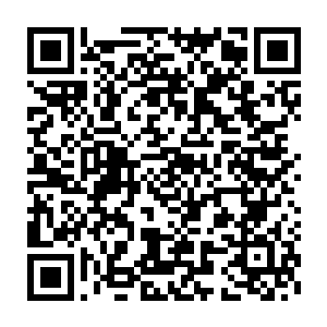一个外界武者却因为施展圣域绝学达到了不下于施展高级血脉的层次二维码生成