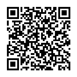 一个多少显得有些血腥而且恐惧的画面展现在我面前二维码生成