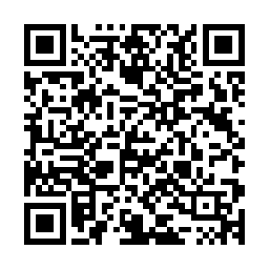 一个多波王子而已……我还不需要将这件事弄到普天大帝那里二维码生成