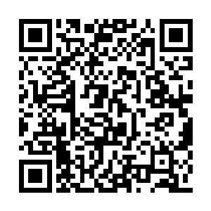 一个大嘴巴子抽在依然处于犯傻状态的风灵脸上二维码生成