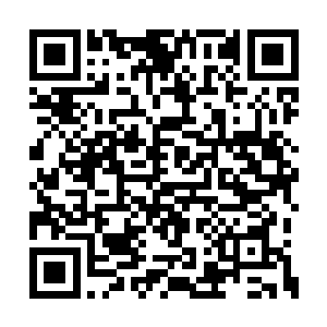 一个大帝境界的高手就如此轻描淡写的倍拍飞了二维码生成