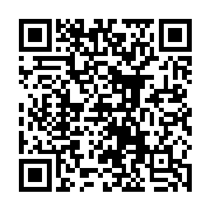 一个大背包和一个黑色手提箱就从窗口里直接扔了出来二维码生成