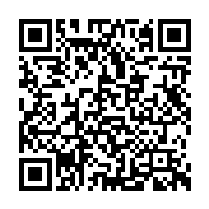 一个大胡子看着像指挥官的人提出了要检查车辆二维码生成
