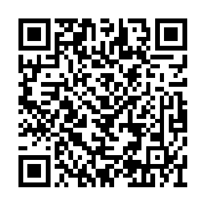 一个天之府排名前二十的弟子摇着扇子缓缓说道二维码生成