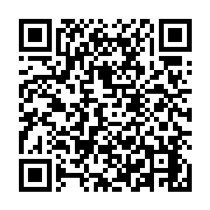 一个天尊期修士望着外面那些一批一批倒下的混沌兽道二维码生成