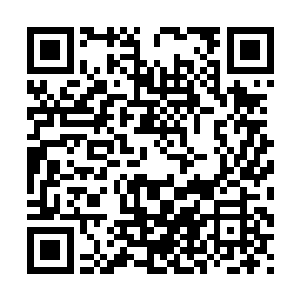 一个天尊期大修士可以瞬间想捻一只蝼蚁一般地碾死一个仙帝二维码生成