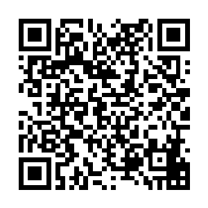 一个头发染的通红的家伙瞪着赵长枪恶狠狠的说道二维码生成