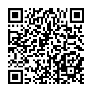 一个奇迹诞生的见证者同时散步在北美大陆的各个城市二维码生成