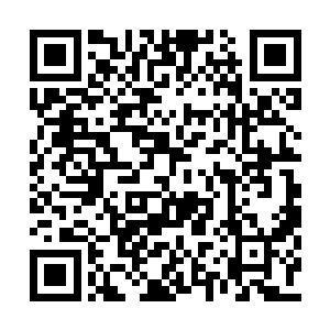 一个女人拿出手机把面前的米线和头发照了下来二维码生成