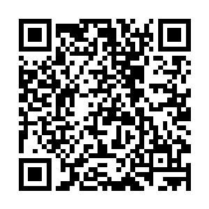 一个女孩子跟一个只见过两次的男人同站在走廊开端二维码生成