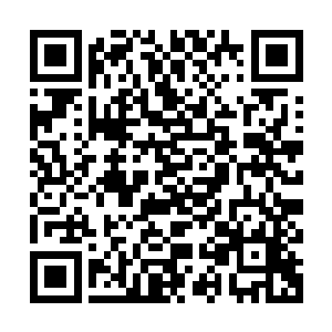 一个字一个字的指着读给周围好奇不已却又不识字的吃瓜群众听二维码生成