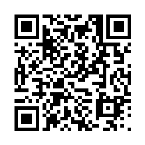 一个学生一天能读十几二十篇小论文二维码生成