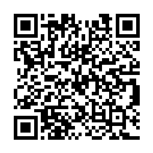 一个学生那里来的钱支付这些世界各地旅游的费用二维码生成