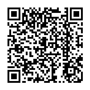 一个实力明显比之前那些妖族更加强大一点的妖族赫然出现在了雷天的面前二维码生成