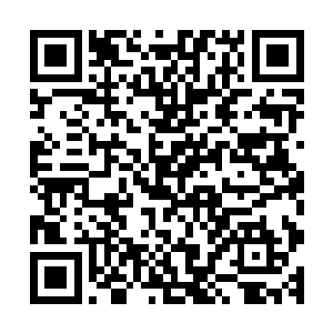 一个家族就能在这么大的一个市场之中占据如此重的一个份额二维码生成