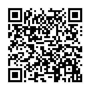 一个宽大的摇床里两个白白软软的小包子并排躺着二维码生成