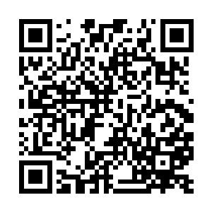 一个将最高等级的顶级神品血脉威力全部发挥出来二维码生成