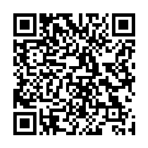 一个将洗髓丹视为镇门之宝的门派前人遗留下来的炼丹手法二维码生成