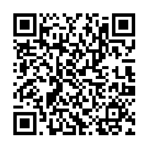 一个小厮快步走过庭院中狭长的步道来到多目怪的面前二维码生成