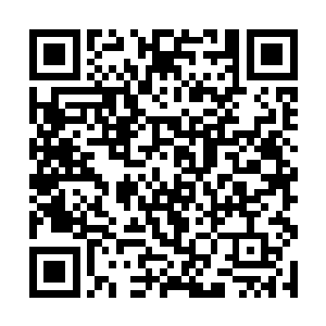 一个小小的中元星系家族竟然敢跑到隐世大陆来嚣张二维码生成