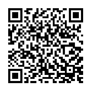 一个小小的山谷出现这么多的妖兽本来就是一个和奇怪的事情二维码生成