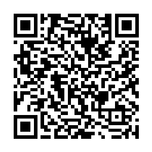 一个小小的蛮夷之地的垃圾宗门也敢在本座面前猖狂二维码生成