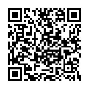 一个小队员跑到了王教练身边低声在他耳边说道二维码生成