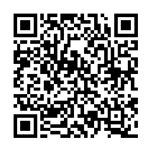 一个就是谢云澜本身才华能力让谢氏米粮家主不舍得放手二维码生成