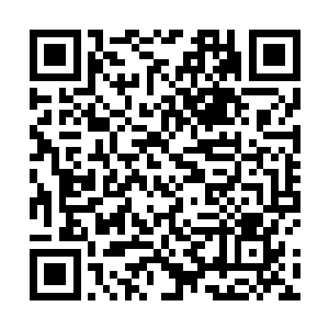 一个岁的小姑娘看到一个血肉模糊的陌生人不但不害怕二维码生成