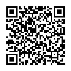 一个巨大的半透明气泡逐渐展露在他的视野当中二维码生成