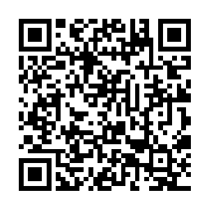 一个巨大的墓室再一次出现在了雷天和安志杰的面前二维码生成