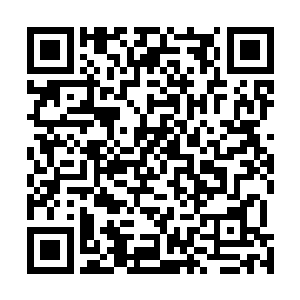 一个巫师必须在每天的零点之前决定第二天使用哪些法术二维码生成