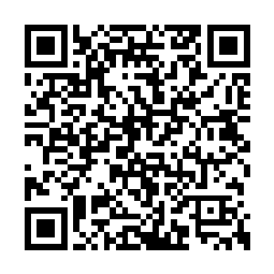 一个巴掌大小的吉娃娃狗就从桌子下面钻了出来二维码生成