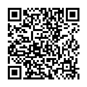 一个带着回回帽的男子和白虎纹身男子抢上大巴二维码生成