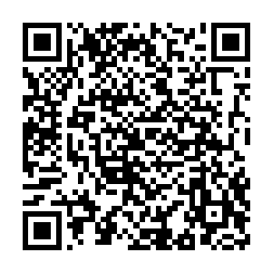 一个年轻的拥有悲天悯人情怀的少年道德高士就出现在人们的面前二维码生成