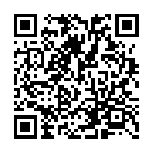 一个庞大无比的生物就好像是一辆超级坦克一般二维码生成