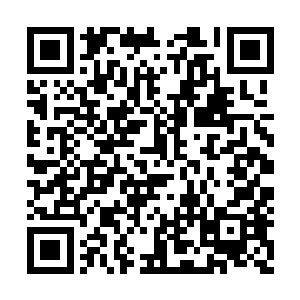 一个微小的许紫烟站在一个拳头大小的结界面前二维码生成