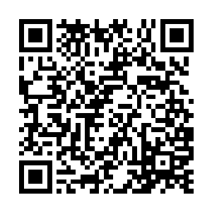 一个念头突然闪现出来……它怕我身上的巫灵黑石二维码生成