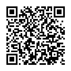 一个恐怖的天尊高手就这样眨眼间的功夫就被龙傲天阴死了二维码生成