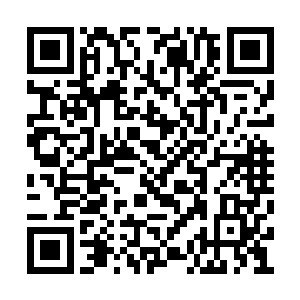 一个恐怖的赤红色的虚影从虚空之中缓缓的凝形二维码生成