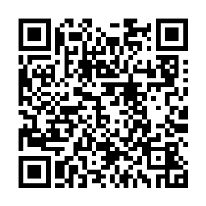 一个想要出风头的血族试图从背后偷袭一名妖神执行者二维码生成