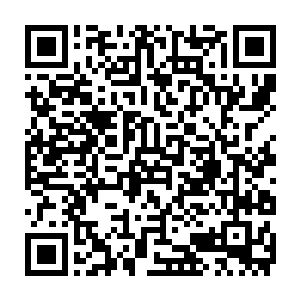 一个成年社会人也不应该非常极端地坚持一个选择――这是圣人和勇士的素质二维码生成