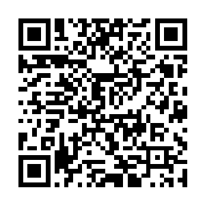 一个或许看过野外求生而懂得利用降落伞的普通女子二维码生成