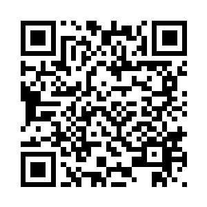 一个打滚避开了老虎的第二次扑抓二维码生成