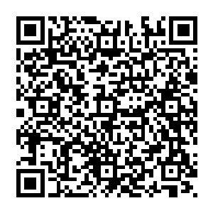 一个接一个的名词把苏珊砸得晕晕乎乎的――主要还是眼前的这对情侣实在太让人分心二维码生成