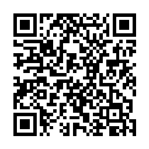 一个接着一个的仙女鱼家族被分别放入到了不同的鱼塘里二维码生成