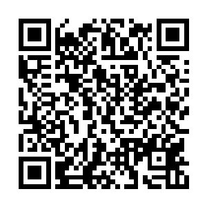 一个散发着精纯之极的幽冥法则气息的仙元大掌二维码生成