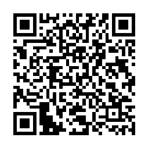 一个新生命的到来象征着宇宙中最强的道理和循环二维码生成