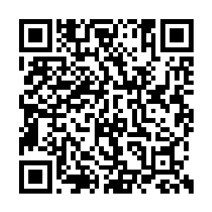 一个是我们部落控制着整个冰雪荒原的剑齿兽的二维码生成